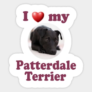 I Love My Patterdale Terrier Sticker